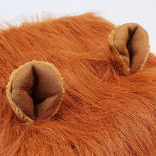 Carica l'immagine nel visualizzatore di Gallery, Etpark Cane Pet Costume, Grande Medio Regolabile Parrucca leone marrone - Ilgrandebazar