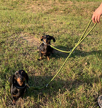 Carica l'immagine nel visualizzatore di Gallery, AVANZONA Guinzaglio per Cani in Nylon Resistente Multiuso Diversi Green