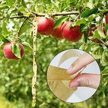 Carica l'immagine nel visualizzatore di Gallery, DECARETA 32 Rotolini Acchiappamosche, Trappole Adesive per Mosche, Strisce...