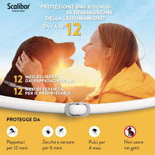 Carica l'immagine nel visualizzatore di Gallery, 12