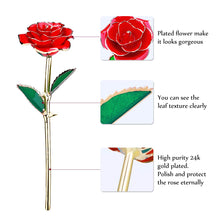 Carica l'immagine nel visualizzatore di Gallery, ETEREAUTY 24K Rosa Placcato Oro, Regalo con a Forma di Cuore &amp; Rosso - Ilgrandebazar
