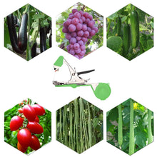 Carica l'immagine nel visualizzatore di Gallery, Legatrice per Piante, Tying Macchina Strumento Nastro a Mano Legare Verde - Ilgrandebazar