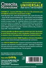 Carica l'immagine nel visualizzatore di Gallery, 1
