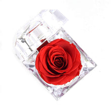 Carica l'immagine nel visualizzatore di Gallery, Luoistu Regalo San Valentino per lei Fiore Roses, Rose mai appassite in Red - Ilgrandebazar