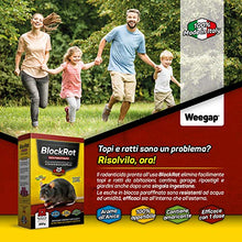 Carica l'immagine nel visualizzatore di Gallery, Veleno per Topi e Ratti, Esca Topicida Ratticida Professionale Potente,...
