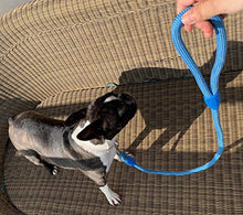 Carica l'immagine nel visualizzatore di Gallery, AVANZONA Guinzaglio per Cani in Nylon Tondo Allenamento Ant Pull Blu