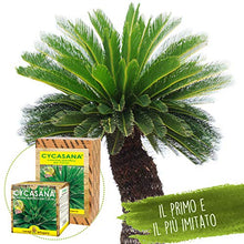 Carica l'immagine nel visualizzatore di Gallery, I Consigli Dell'Esperto Cycasana Concime Specifico per Cycas