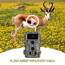 Carica l'immagine nel visualizzatore di Gallery, Videocamera da Caccia 20MP 1080P H.264 Video con Visione Notturna Grigio