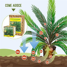 Carica l'immagine nel visualizzatore di Gallery, I Consigli Dell'Esperto Cycasana Concime Specifico per Cycas