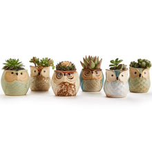 Carica l'immagine nel visualizzatore di Gallery, SUN-E 6.35 cm Gufo vaso ceramica smaltata Base Set Succulente Vaso per... - Ilgrandebazar