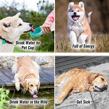 Carica l'immagine nel visualizzatore di Gallery, CJMJ Bottiglia Acqua per Cani Viaggio Portatile 350ml... - Ilgrandebazar