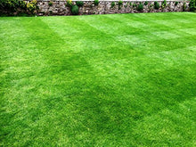 Carica l'immagine nel visualizzatore di Gallery, 1kg Semi di erba da giardino Alta Qualità per 35mq – Crescita rapida e...
