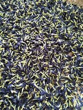 Carica l'immagine nel visualizzatore di Gallery, Blue Butterfly Pea Flowers (Clitoria Ternatea/Anchan) - Magic Colour...