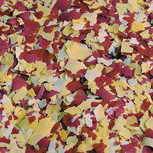 Carica l'immagine nel visualizzatore di Gallery, Sera Mangime in Scaglie, Pond Flakes - 3800 ml - Ilgrandebazar
