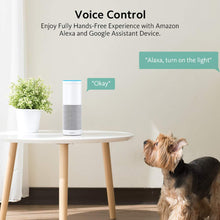 Carica l'immagine nel visualizzatore di Gallery, Presa Intelligente WiFi 16A Smart Plug Zoozee Wireless Pack 4