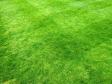 Carica l'immagine nel visualizzatore di Gallery, 1kg Semi di erba da giardino Alta Qualità per 35mq – Crescita rapida e...