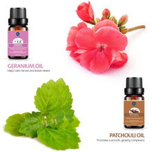 Carica l'immagine nel visualizzatore di Gallery, Lagunamoon Olio Essenziale per Diffusori, 10 Oli Essenziali Aromaterapia Pure - Ilgrandebazar