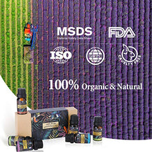 Carica l'immagine nel visualizzatore di Gallery, Oli Essenziali per Diffusori Top 6 Set - Aromaterapia Olio Essenziale... - Ilgrandebazar