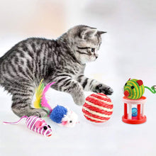 Carica l'immagine nel visualizzatore di Gallery, Giocattoli per Gatti, Gatto Giocattoli Interattivi Gioco per Gattino Kitten Indoor, 16 Pezzi