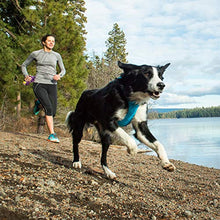 Carica l'immagine nel visualizzatore di Gallery, RUFFWEAR Front Range™ Harness L/XL, Blu (Blue Dusk)