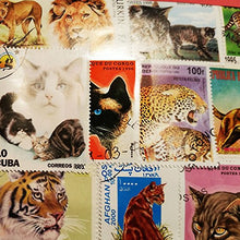Carica l'immagine nel visualizzatore di Gallery, Worldwide Cats Collection Wild / Lions / Pet 100 Different Stamps!...