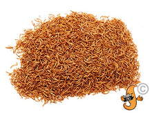 Carica l'immagine nel visualizzatore di Gallery, Chubby Mealworms 5 litri di camole secche per uccelli selvatici - Ilgrandebazar