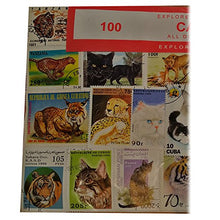 Carica l'immagine nel visualizzatore di Gallery, Worldwide Cats Collection Wild / Lions / Pet 100 Different Stamps!...