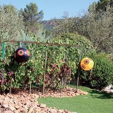 Carica l'immagine nel visualizzatore di Gallery, Ribimex AG0105 Set 3 palloni spaventapasseri, 200x25x210 cm