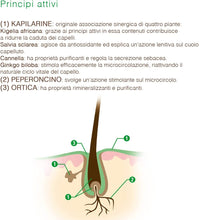 Carica l'immagine nel visualizzatore di Gallery, 6
