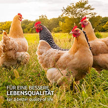 Carica l'immagine nel visualizzatore di Gallery, AniForte Spray antiacaro per polli e pollame 500ml - Contro Acari e...