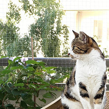 Carica l'immagine nel visualizzatore di Gallery, Bella &amp; Balu Rete protettiva per gatti (trasparente | 10x4m) con 10 x 4 m - Ilgrandebazar