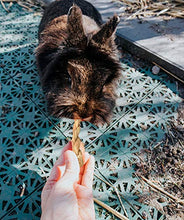 Carica l'immagine nel visualizzatore di Gallery, Made Terra Giocattoli da Masticare Erba per Coniglio, Coniglietto e 20 Pack