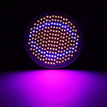 Carica l'immagine nel visualizzatore di Gallery, LED Coltiva la Lampadina, 85~265V 24W E27 200 Pannello Spettro 24w 200led - Ilgrandebazar