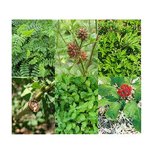 Carica l'immagine nel visualizzatore di Gallery, Magic Garden Seeds Erbe medicinali Cinesi, Set di sementi Regalo con 5... - Ilgrandebazar