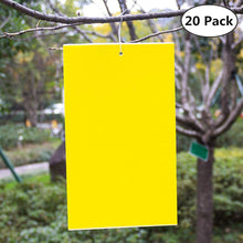 Carica l'immagine nel visualizzatore di Gallery, Ecwin 20 Pezzi Trappola per Mosche Trappole Appiccicose Gialle Plant 20 - Ilgrandebazar