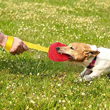 Carica l'immagine nel visualizzatore di Gallery, PetGens Manicotto per Cani, con Una Maniglia, Giochi interattivi cani,...