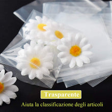 Carica l'immagine nel visualizzatore di Gallery, Gudotra 100pz-12x17cm Sacchetti Plastica Trasparenti Risigillabili con Zip Chiusura a Cerniera Riutilizzabile Spesso Bustine per Alimentari (12x17cm, 100 Pezzi)