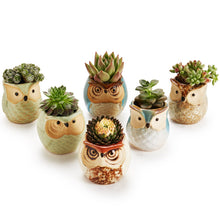 Carica l'immagine nel visualizzatore di Gallery, SUN-E 6.35 cm Gufo vaso ceramica smaltata Base Set Succulente Vaso per... - Ilgrandebazar