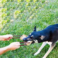 Carica l'immagine nel visualizzatore di Gallery, PetGens Dummy per Cani, Massaggiagengive a forma di salsicciotto e rotolo,...
