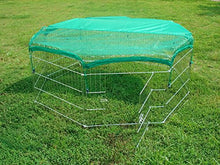 Carica l'immagine nel visualizzatore di Gallery, Bunny Business - / coniglio / Guinea Pig / Cane / cucciolo / gatto /... - Ilgrandebazar