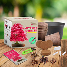 Carica l'immagine nel visualizzatore di Gallery, Coltivare il proprio kit bonsai - Facilmente crescere 4 tipi di alberi...
