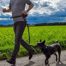 Carica l'immagine nel visualizzatore di Gallery, Guinzaglio mani libere per cani da jogging | Rosso e nero elastico e... - Ilgrandebazar