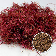 Carica l'immagine nel visualizzatore di Gallery, Nature's Root Semi di Barbabietola Rossa Bio 250g - Microgreens | - Ilgrandebazar