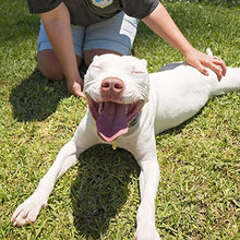 Carica l'immagine nel visualizzatore di Gallery, Petpost | Shampoo sbiancante per Cani – Il miglior Trattamento 237 mL