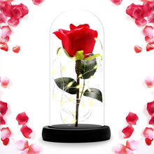 Carica l'immagine nel visualizzatore di Gallery, ASANMU Kit di Rose La Bella e Bestia, Petali Rosa Elegante Cupola di... - Ilgrandebazar