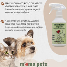 Carica l'immagine nel visualizzatore di Gallery, 8