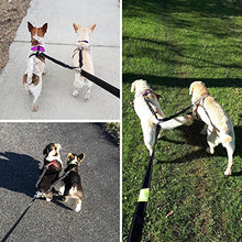 Carica l'immagine nel visualizzatore di Gallery, Pecute Guinzaglio Doppio per Cani Estendibile e Riflettente, con... - Ilgrandebazar