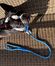 Carica l'immagine nel visualizzatore di Gallery, AVANZONA Guinzaglio per Cani in Nylon Tondo Allenamento Ant Pull Blu