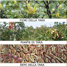 Carica l'immagine nel visualizzatore di Gallery, FARINA DI SEMI TARA - Ideale per Gelati e Sorbetti - Pura 100% - 250gr -...