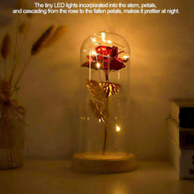 Carica l'immagine nel visualizzatore di Gallery, Duokon Luce a LED Fiore Rosa conservata con Coperchio in Vetro e Base Rosso - Ilgrandebazar